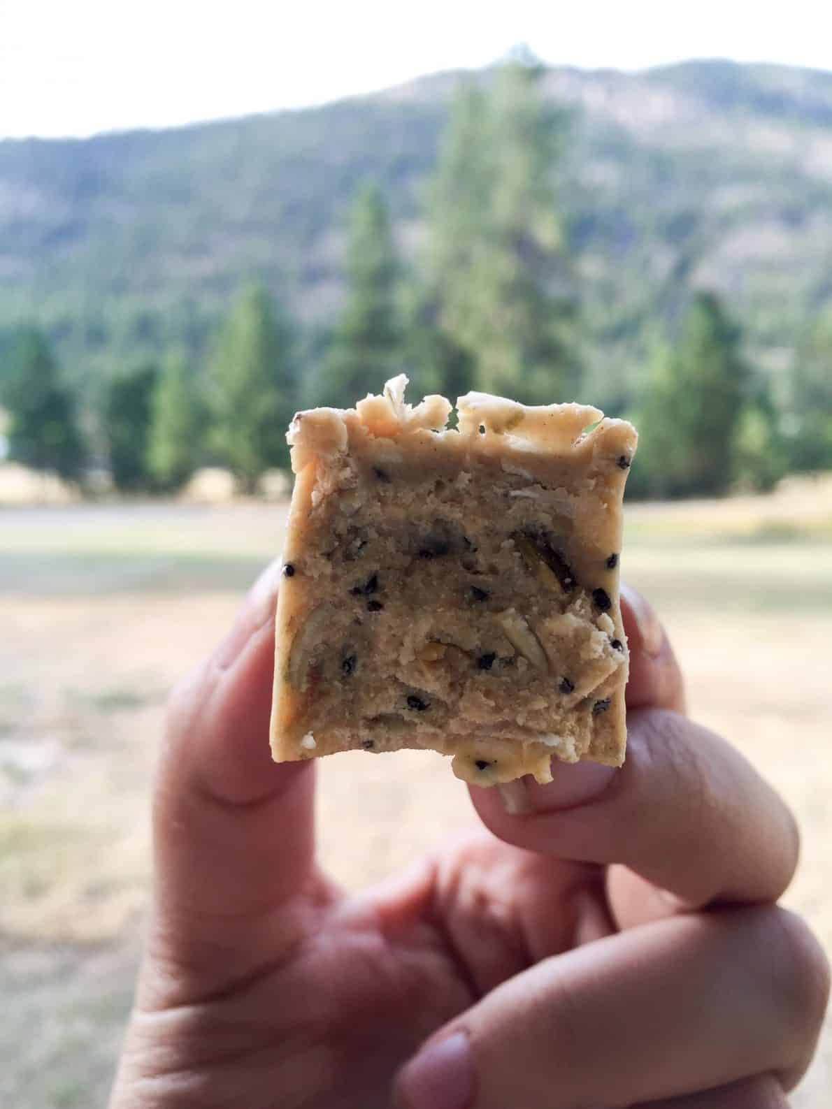 Loaded Peanut Butter Protein Bars {THMS, Sugar Free, Low Carb} My