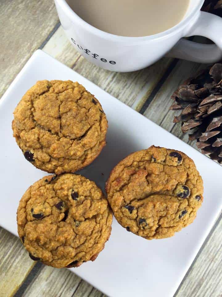 Pumpkin Chocolate Chip Muffin (THM-S, Sugar Free, Low Carb)