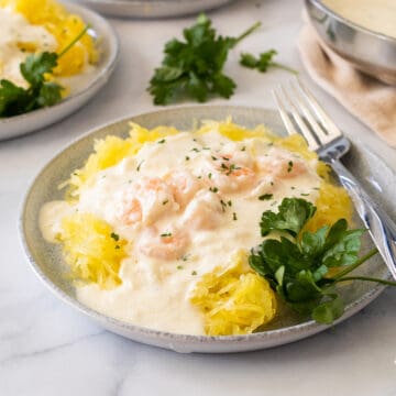 creamy shrimp alfredo with spaghetti squash