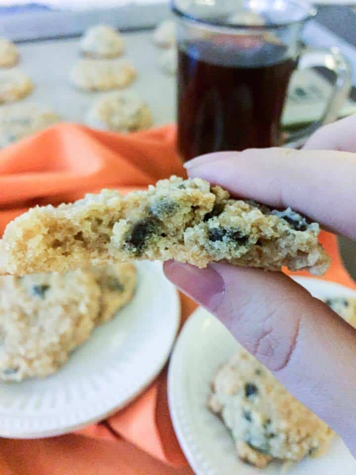 Peanut Butter Chocolate Chip Cookies (Low Carb, Sugar Free, THM-S)