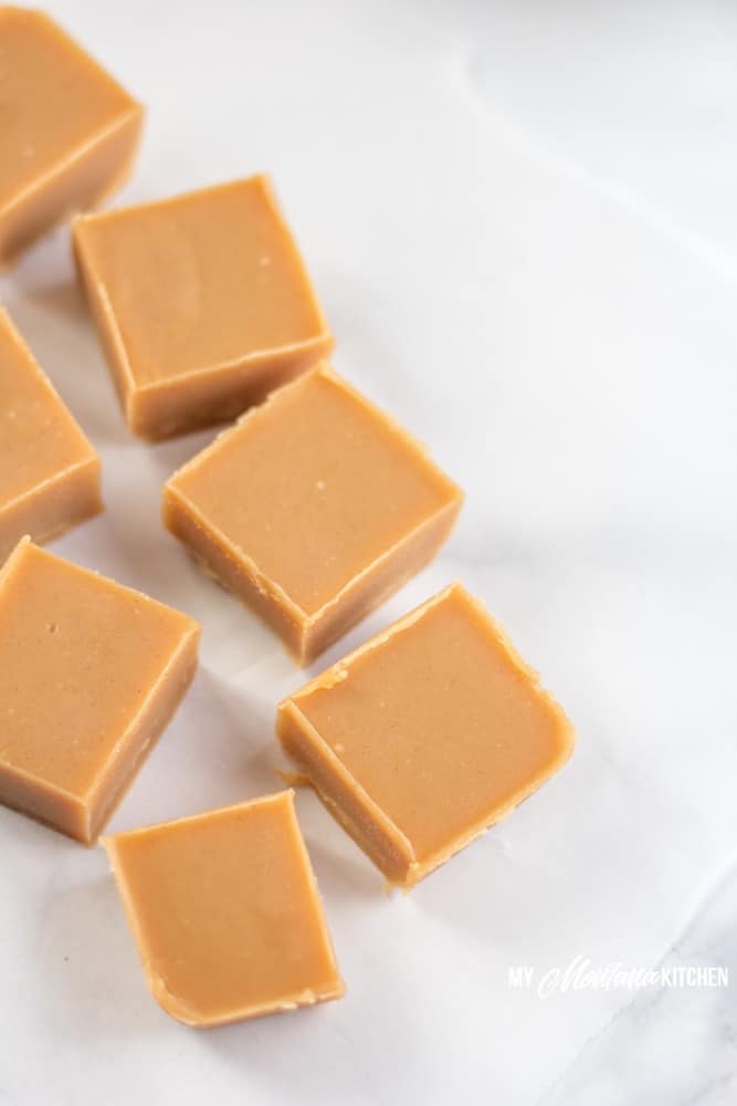 Easy 2 Ingredient Peanut Butter Fudge (with video)