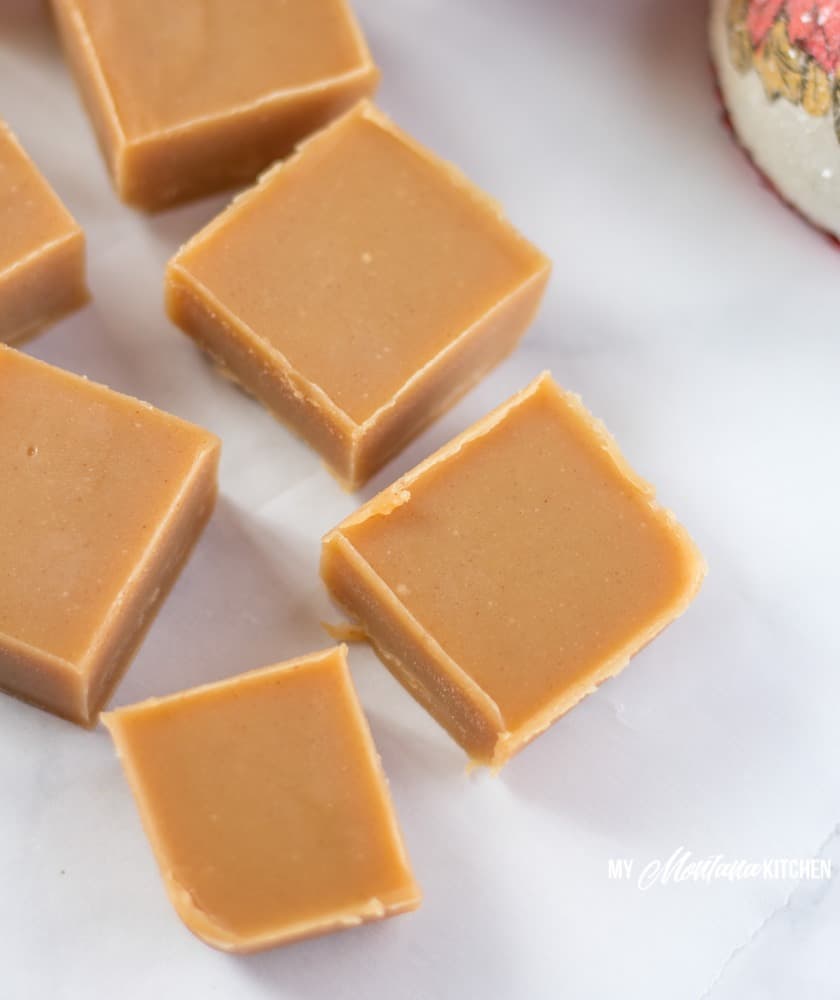 This rich low carb peanut butter fudge is easy, tastes delicious, and no-one will no it is sugar free (and only 2 ingredients)! #trimhealthymama #lowcarb #keto #peanutbutterfudge #lowcarbpeanutbutterfudge #christmasrecipes #peanutbutterfudge #peanutbutter #sugarfreefudge #sugarfree