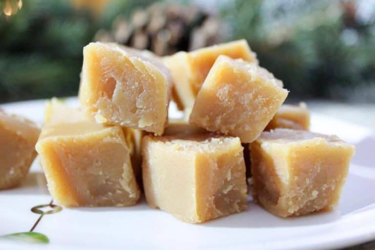 2 Ingredient Peanut Butter Fudge {THMS, Low Carb, Sugar Free} My