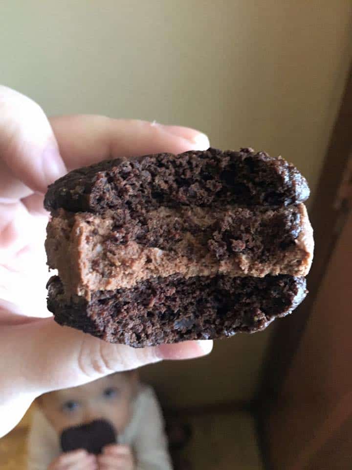Chocolate Moisties Double Doozie (THM-S, Sugar Free, Low Carb)