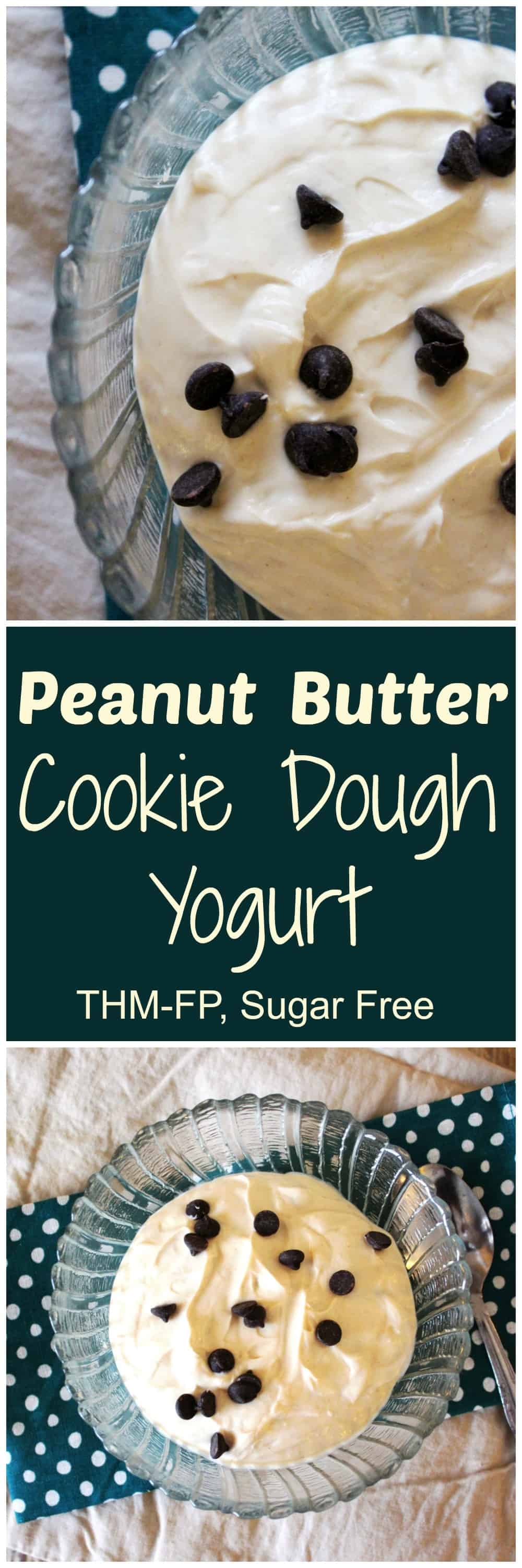 peanut-butter-cookie-dough-yogurt-pinterest