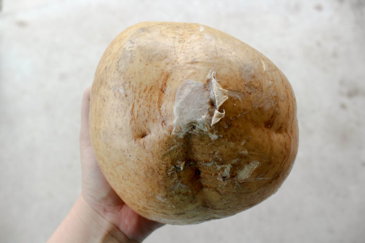 Low Carb Jicama Chili Cheese Fries {THMS} My Montana Kitchen