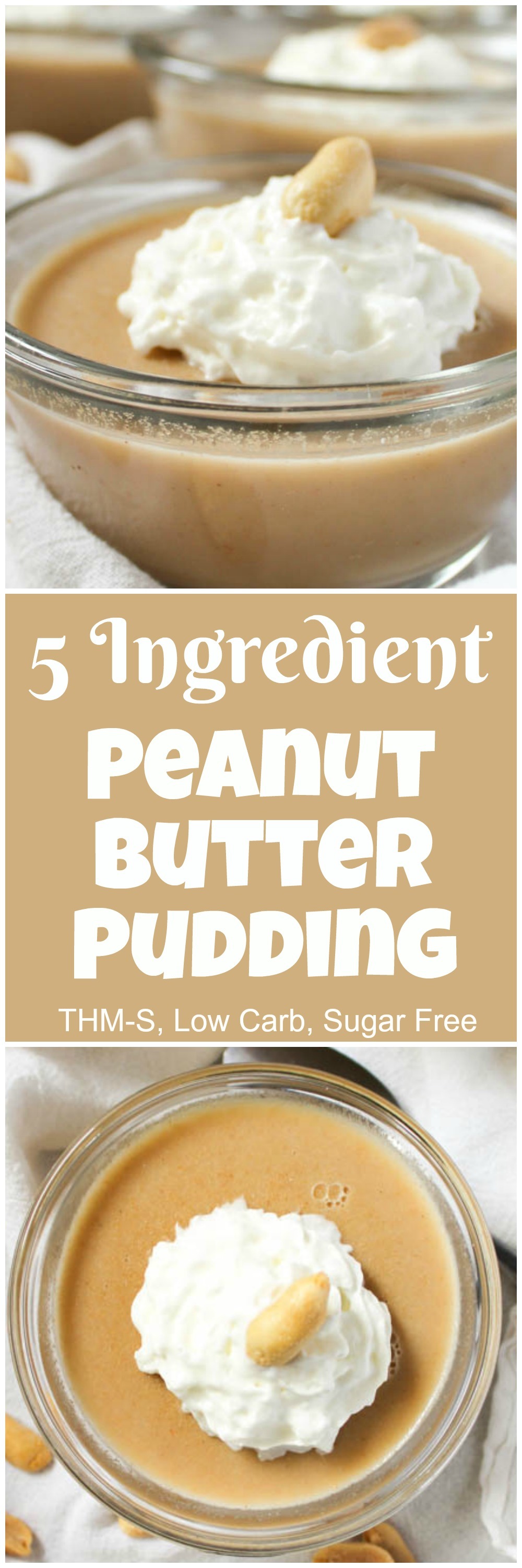 5 Ingredient Peanut Butter Pudding (THM-S, Low Carb, Sugar Free)