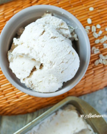 Oatmeal Cookie Frozen Yogurt (THM-E, Sugar Free, Low Fat)