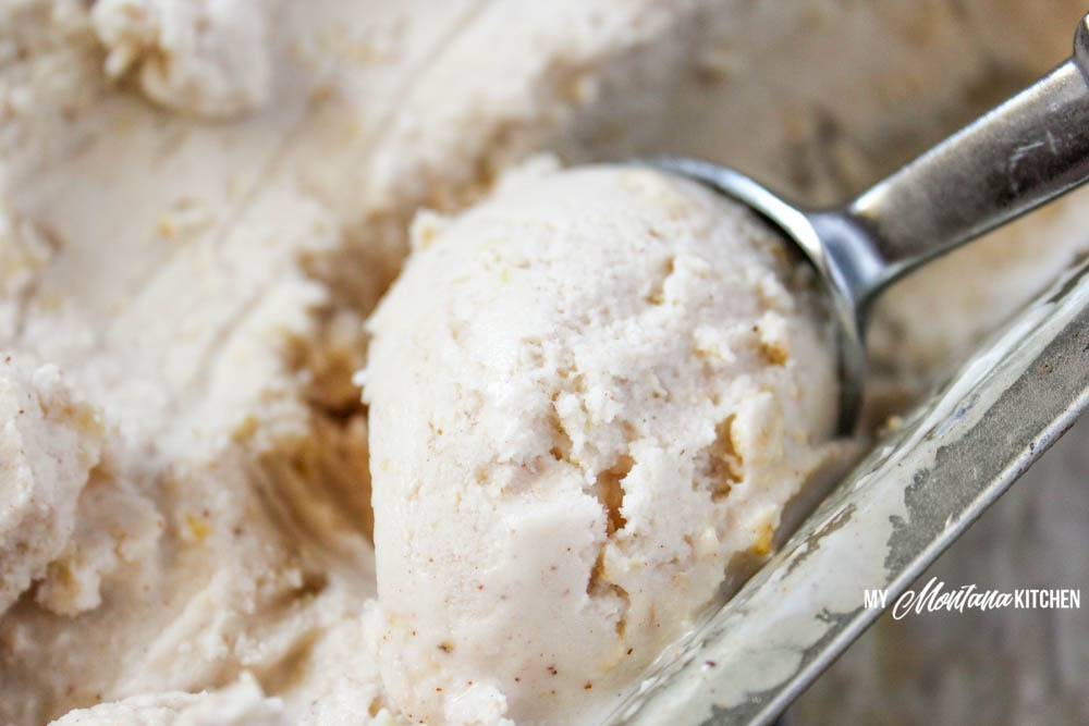 Oatmeal Cookie Frozen Yogurt (THM-E, Sugar Free, Low Fat)