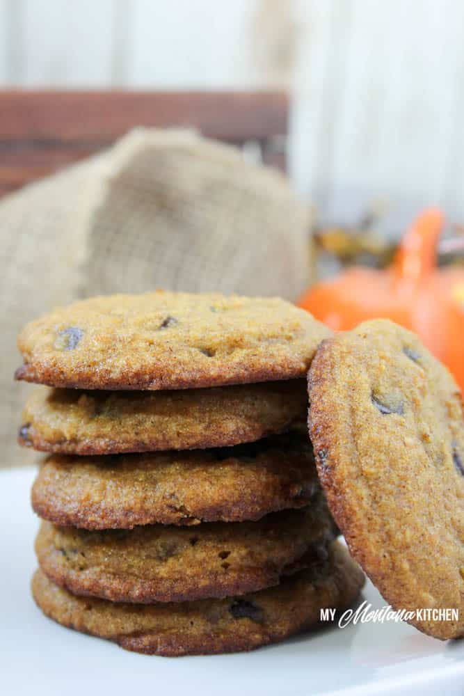 Pumpkin Chocolate Chip Cookies (Low Carb, Sugar Free, Gluten Free, THM-S) #pumpkin #pumpkincookie #chocolatechipcookie #lowcarb #trimhealthymama #thms #sugarfree #healthycookie