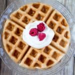 Low Carb Fuel Pull Waffle Recipe (THM-FP, Gluten Free) #trimhealthymama #thm #fp #fuelpull #thmfp #waffle #glutenfree #dairyfree #lowcarb #highfiber #mymontanakitchen