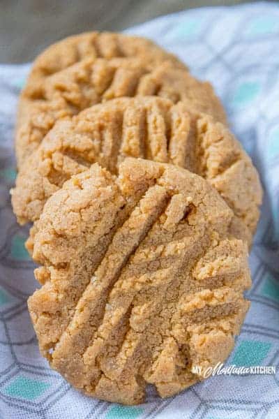 Low Carb Peanut Butter Cookies (Dairy Free, Sugar Free, THM-S) #trimhealthymama #thm #thms #lowcarb #keto #sugarfree #dairyfree #glutenfree #peanutbutter #cookies #peanutbuttercookie #thmcookie #ketocookie