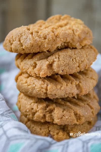 Low Carb Peanut Butter Cookies (Sugar Free, 5 Ingredient, Dairy Free)