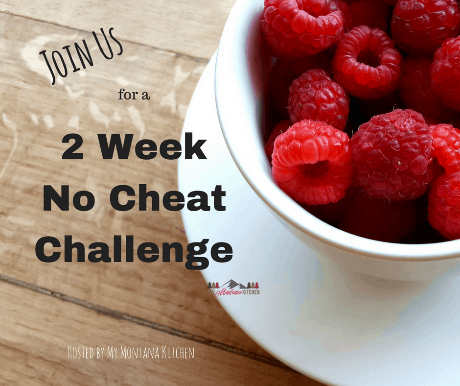 If you are struggling to stay on the Trim Healthy Mama Plan, or if you just need a little boost, this 2 Week Challenge will be perfect for you! #trimhealthymama #thm #challenge #help #stayingonplan #thmtips