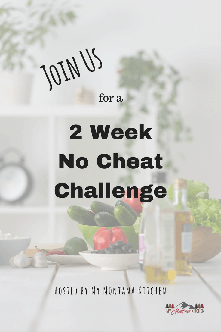 If you are struggling to stay on the Trim Healthy Mama Plan, or if you just need a little boost, this 2 Week Challenge will be perfect for you! #trimhealthymama #thm #challenge #help #stayingonplan #thmtips