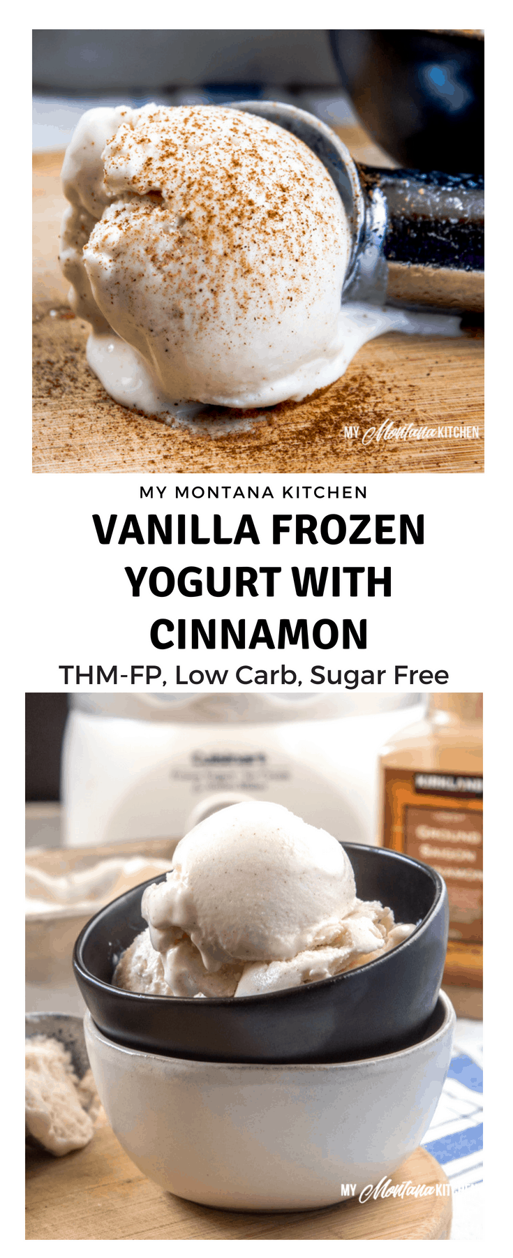 Sweet, tangy, and filled with comforting cinnamon, this easy Vanilla Frozen Yogurt recipe makes a super snack. Filled with protein, but light in calories, it is also a Trim Healthy Mama Fuel Pull Dessert! #trimhealthymama #thm #thmfp #lowcarb #lowfat #sugarfree #frozenyogurt #icecream #cinnamon #vanilla #vanillafrozenyogurt