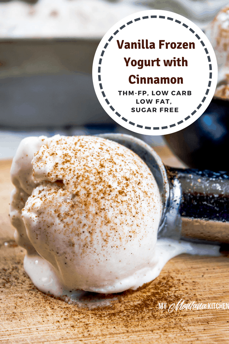 Sweet, tangy, and filled with comforting cinnamon, this easy Vanilla Frozen Yogurt recipe makes a super snack. Filled with protein, but light in calories, it is also a Trim Healthy Mama Fuel Pull Dessert! #trimhealthymama #thm #thmfp #lowcarb #lowfat #sugarfree #frozenyogurt #icecream #cinnamon #vanilla #vanillafrozenyogurt