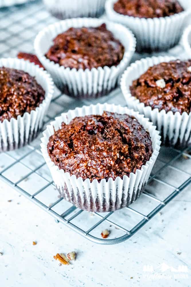 Keto Chocolate Pecan Muffins | THM-S, Gluten-Free, Low-Carb