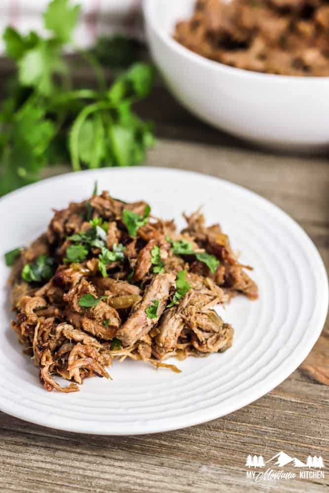 pork shoulder carnitas on white plate