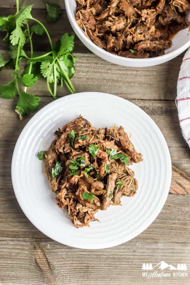 low-carb carnitas with cilantro on white plate