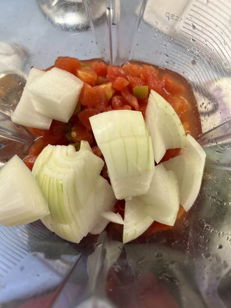 onions and diced tomatoes in blender