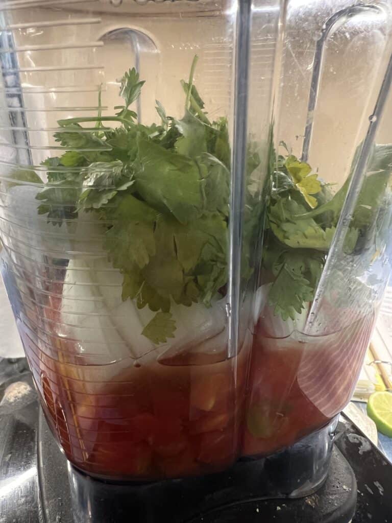 tomatoes, onion, and cilantro in blender