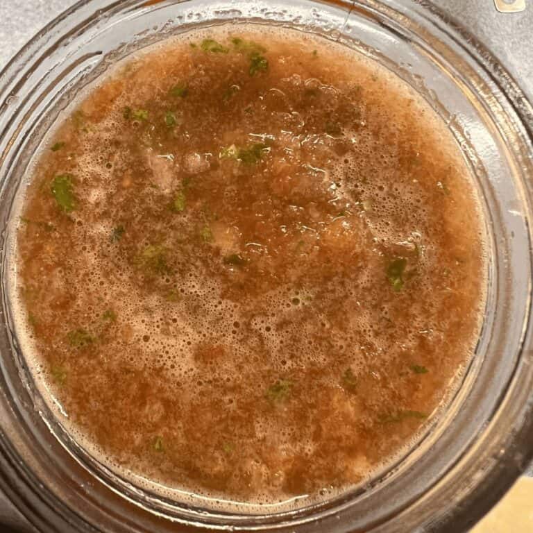 Restaurant Style Blender Salsa in 5 Minutes - Easy Blender Salsa Recipe