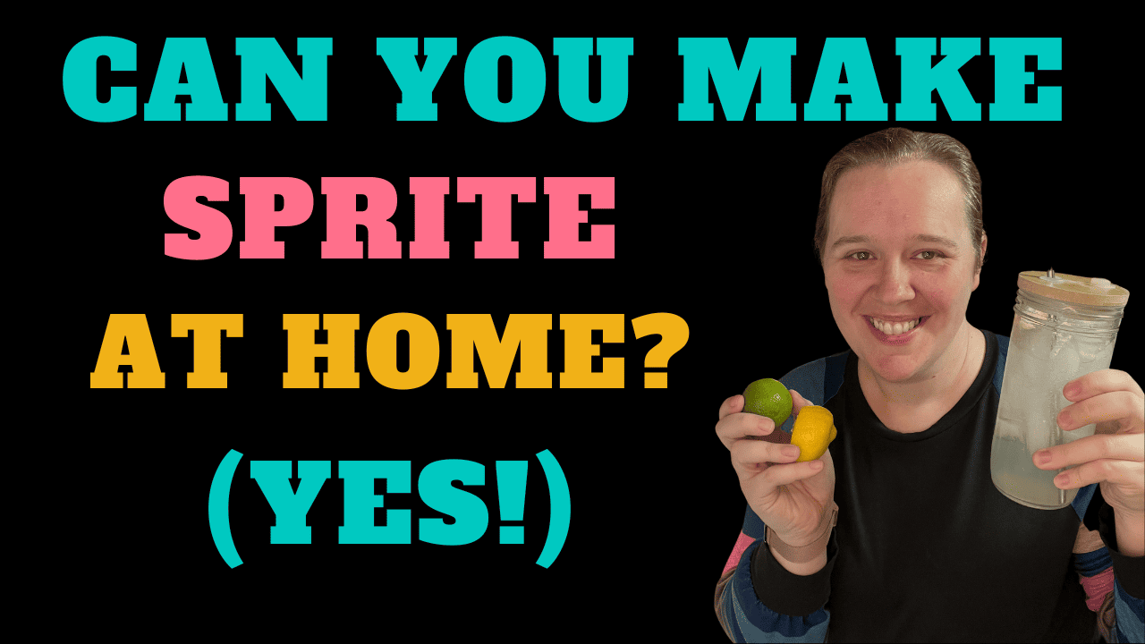 SugarFree Homemade Lemon Lime Soda Recipe My Montana Kitchen