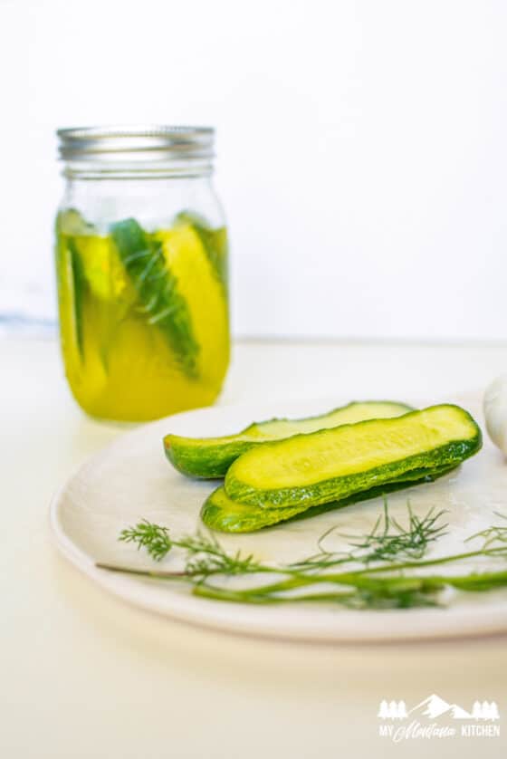 Can You Reuse Pickle Brine for Homemade Pickles? Quick Fridge Pickles