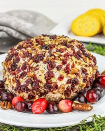 cranberry pecan cheeseball on white plate