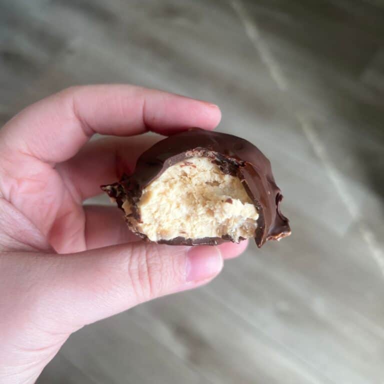 hand holding chocolate covered peanut butter greek yogurt bite