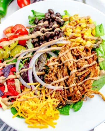 pulled pork salad on white plate