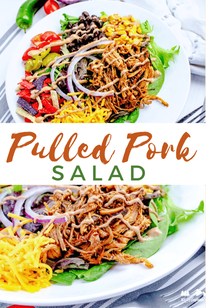 pulled pork salad on a white plate