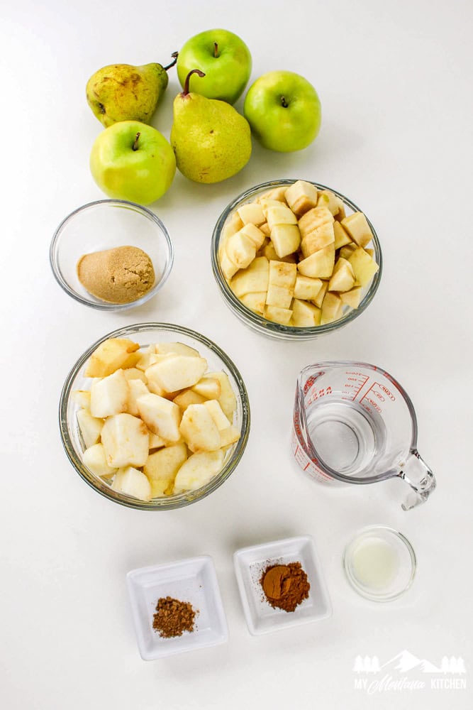 Flat lay of measured ingredients including apples, pears, water, cinnamon, nutmeg, lemon juice, and sweetener.