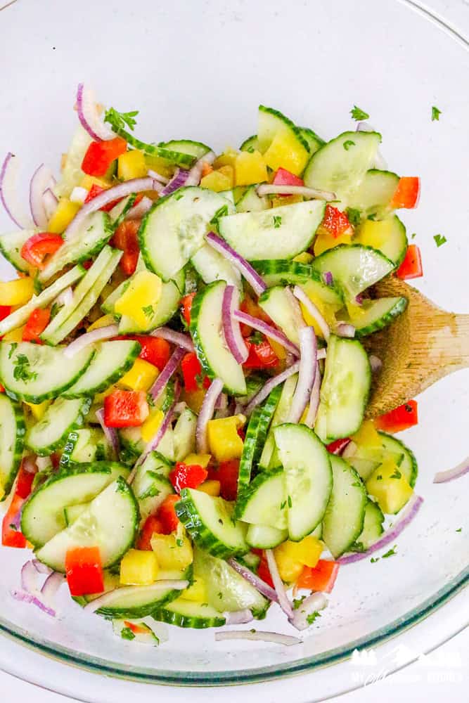 Large bowl of sliced cucumbers, red onions, and diced bell peppers mixed together.