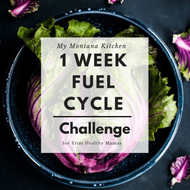 Sample Trim Healthy Mama Fuel Cycle Menu